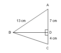 mc019-1.jpg