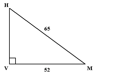 mc007-2.jpg