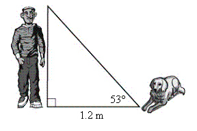 pr002-1.jpg