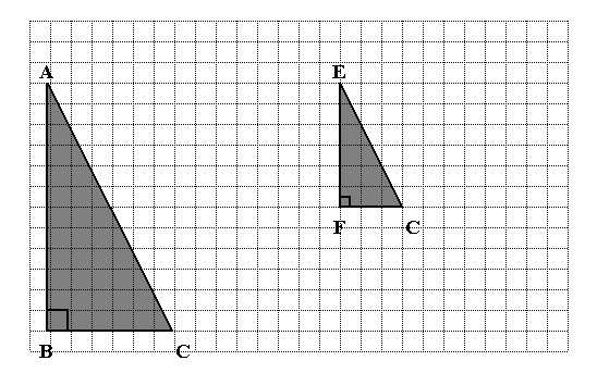 mc009-1.jpg